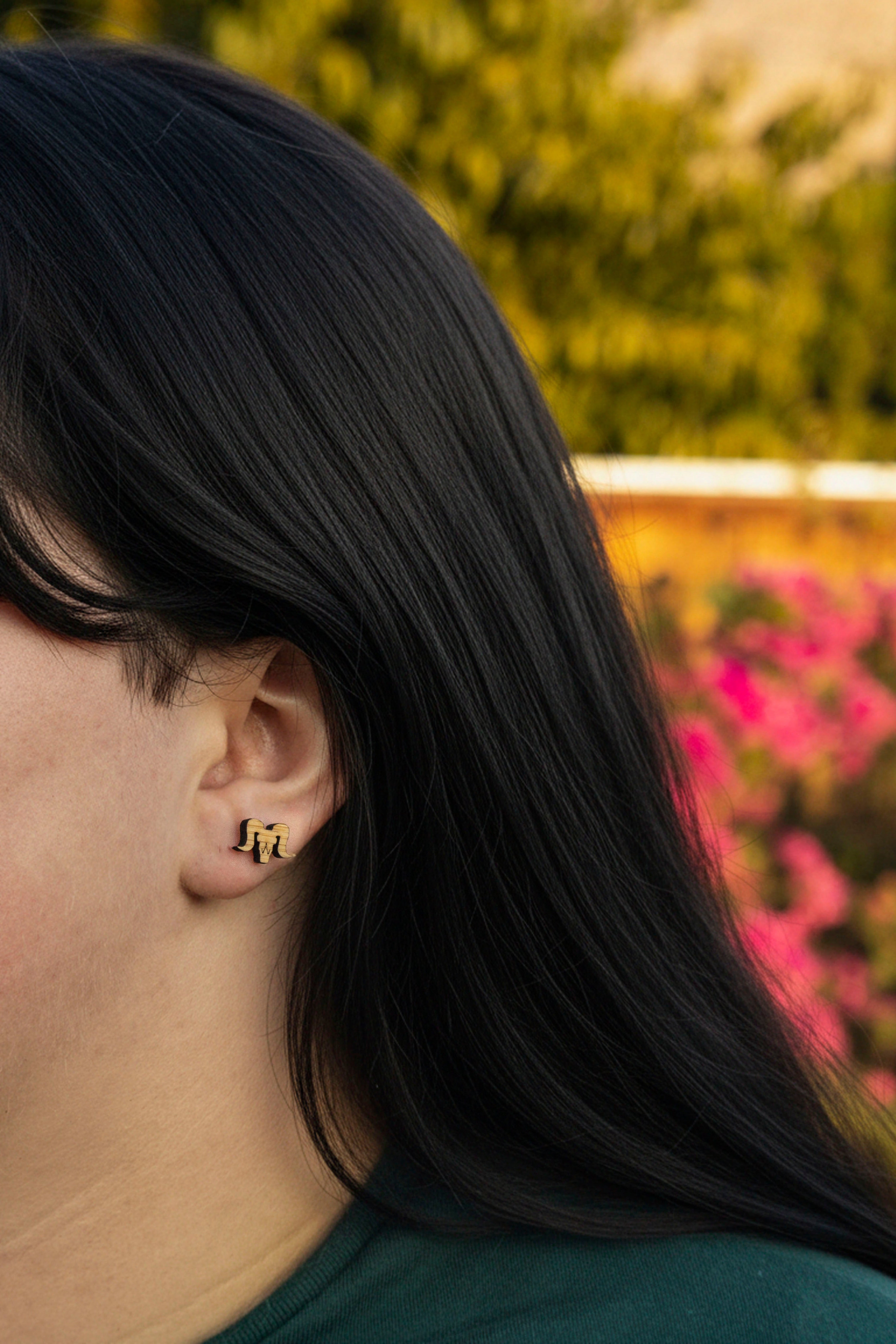 Close-up of a person with long dark hair wearing bighorn sheep wood earrings, with a blurred natural background.
