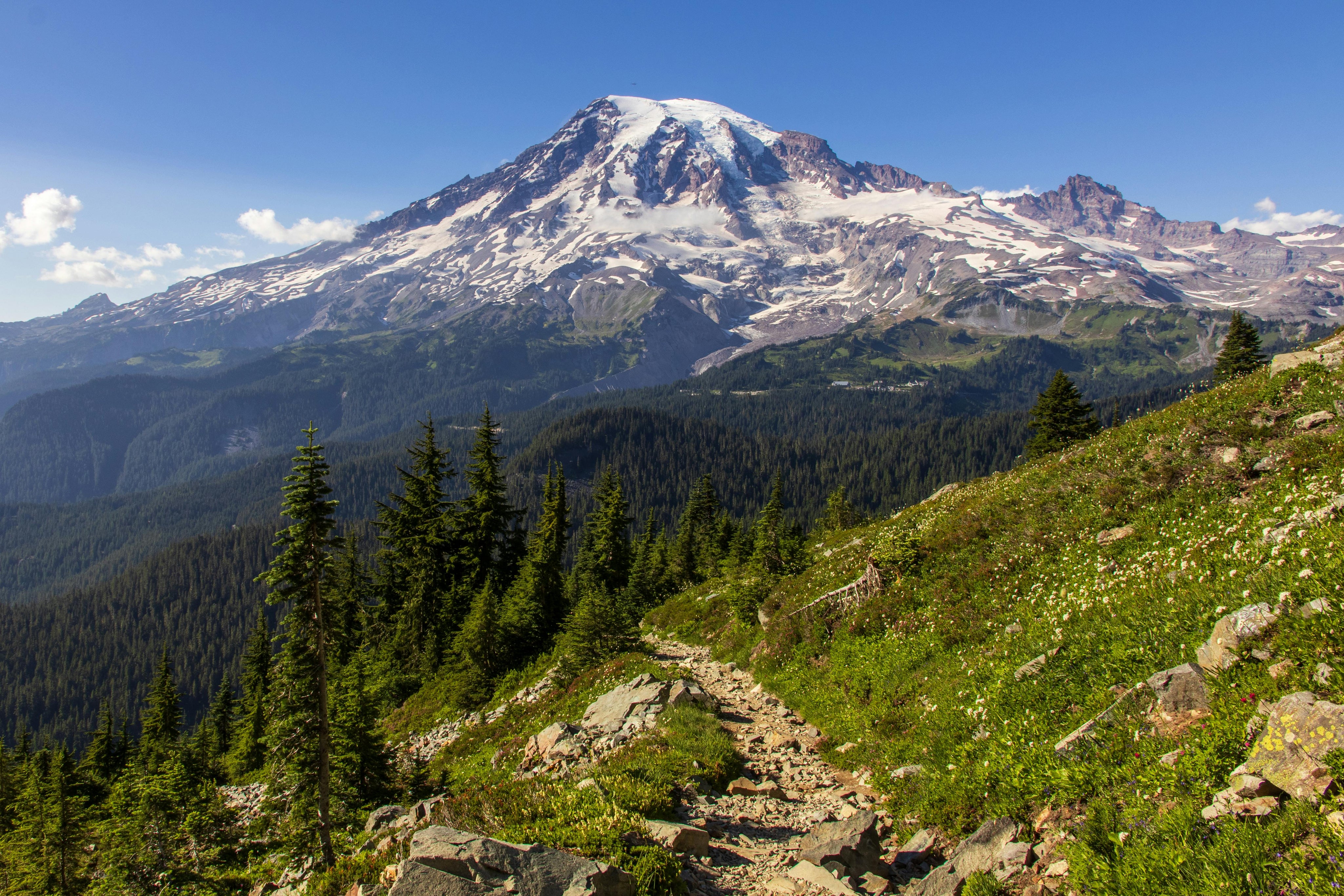 Mt Rainier National Park