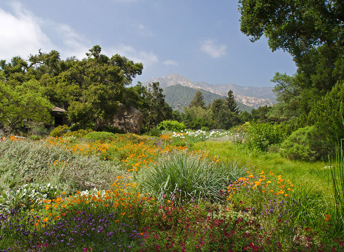 Santa Barbara Botanic Garden