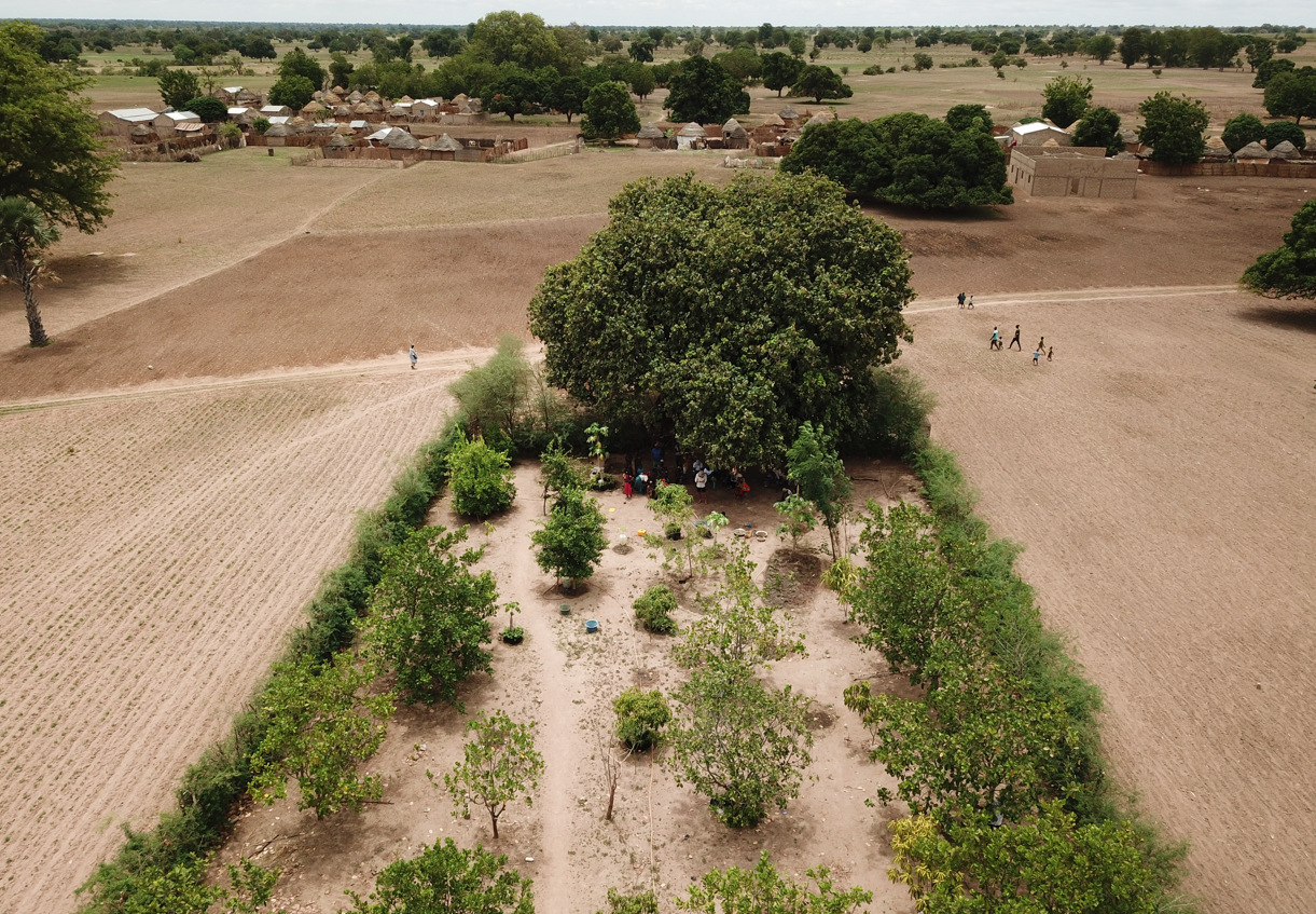 Restoring What’s Been Lost