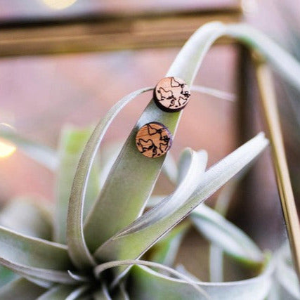 PLANET EARTH STUD EARRINGS
