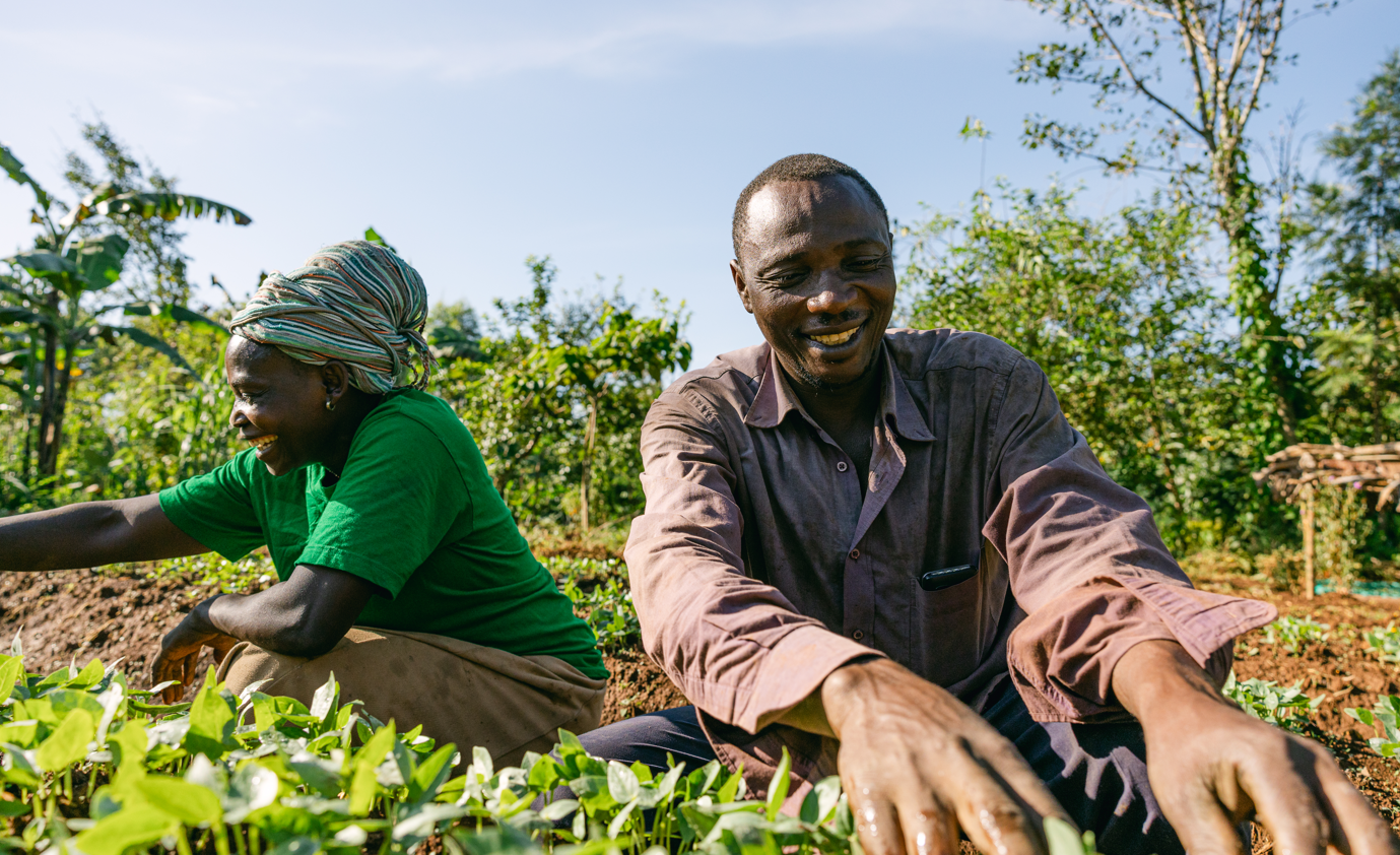 farmers-tree-couple.png