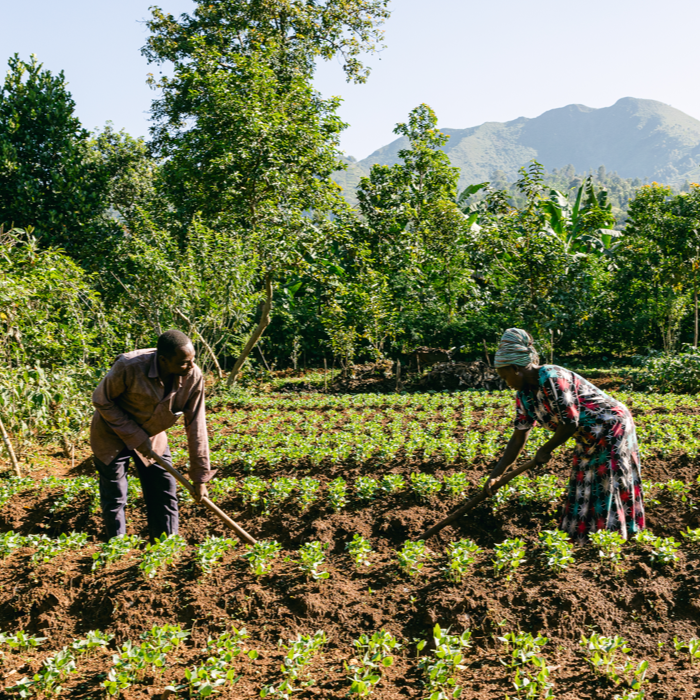 Design with a Purpose